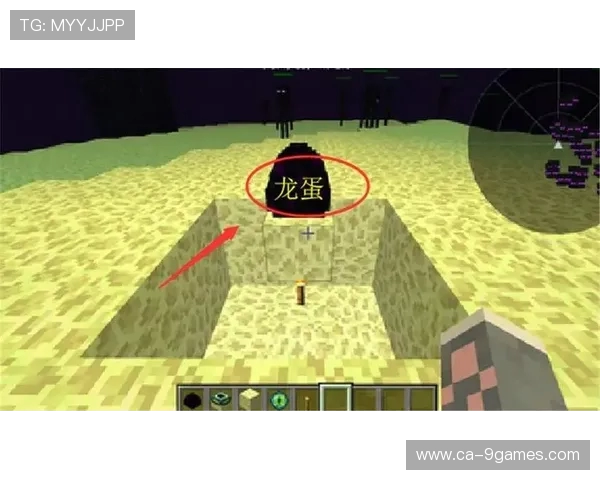 游戏中隐藏龙蛋获取地点全解析探索稀有蛋的秘密与技巧